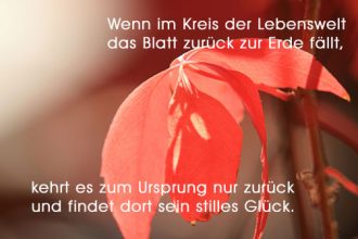 rotes Weinlaub